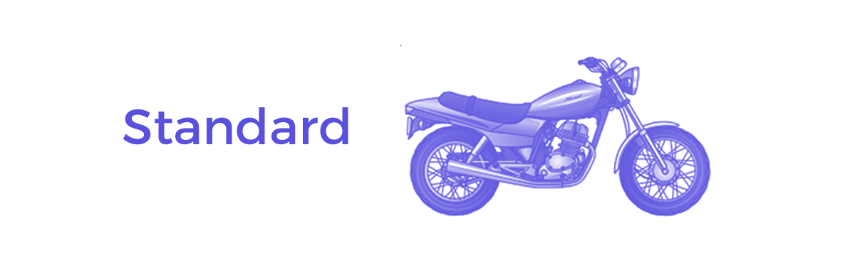 scoala-moto-bucuresti-tip-mototcicleta-standard