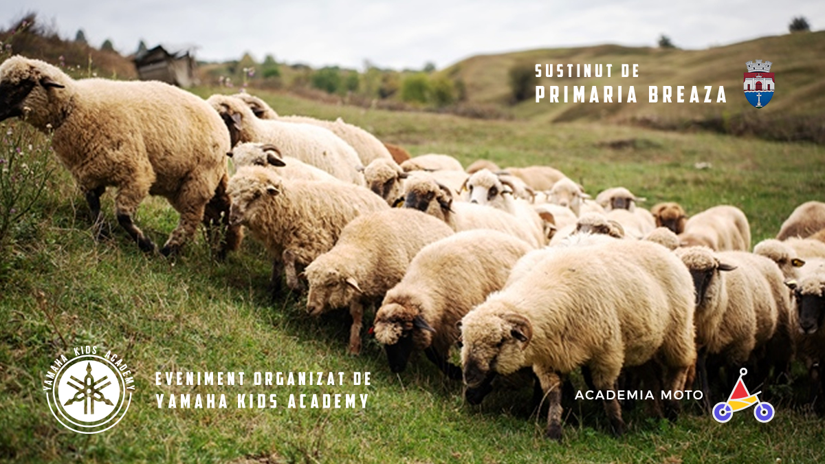 Breaza-Yamah-Kids-Academy-1